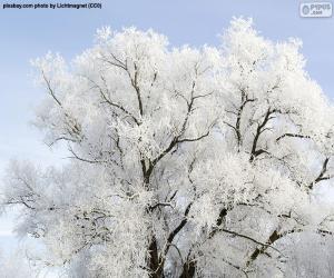 yapboz Buz kaplı ağaç
